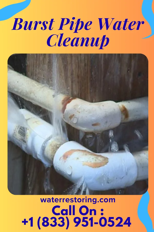 Burst Pipe Water Cleanup in West Lafayette, IN
